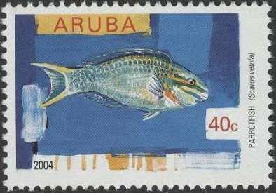 Queen Parrotfish (Scarus vetula)