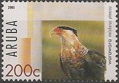 Crested Caracara (Polyborus plancus)