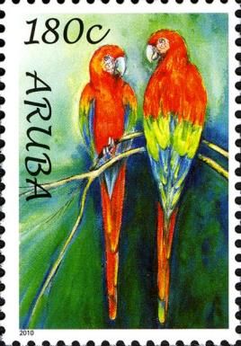 Scarlet Macaw (Ara macao)