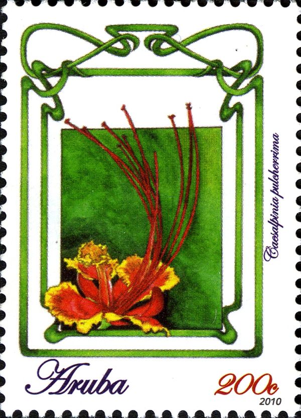 Caesalpinia pulcherrima