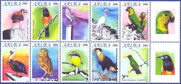 Birds