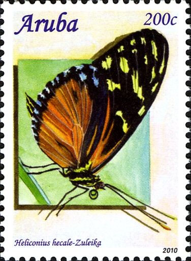Tiger Longwing (Heliconius hecale) 