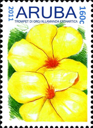 Trompet di Oro (Allamanda cathartica)
