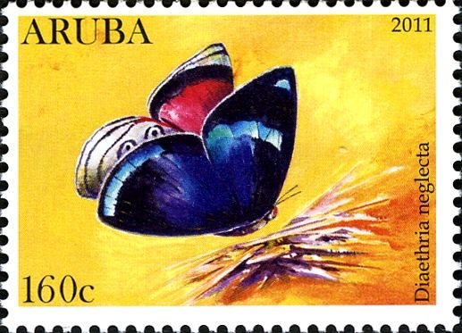 89 Butterfly (Diaethria neglecta)