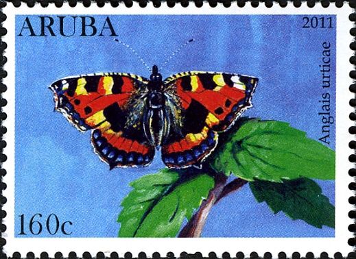 Small Tortoiseshell (Aglais urticae)