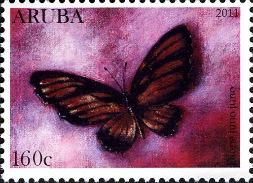Juno Silverspot (Dione juno)