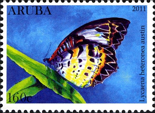 Blue Copper (Lycaena heteronea austin)
