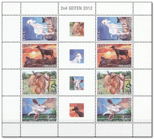 Aruban Goats