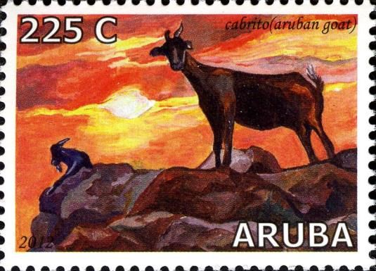 Aruban Goats (Capra aegagrus hircus)