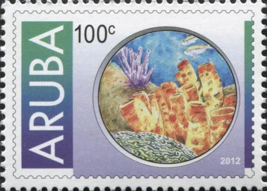 Corals and two fishes