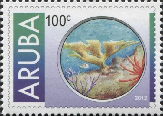 Corals and a fish