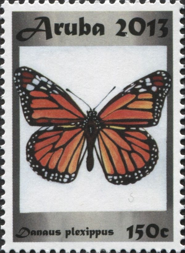 Monarch (Danaus plexippus)