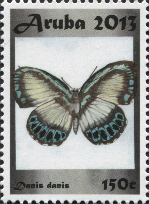 Large Green-banded Blue (Danis danis)