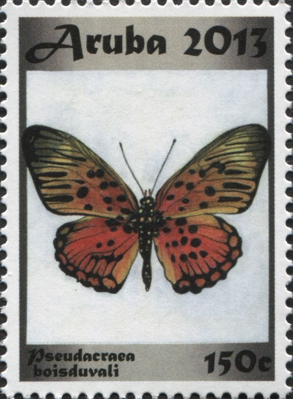 Boisduval's False Acraea (Pseudacraea boisduvali)
