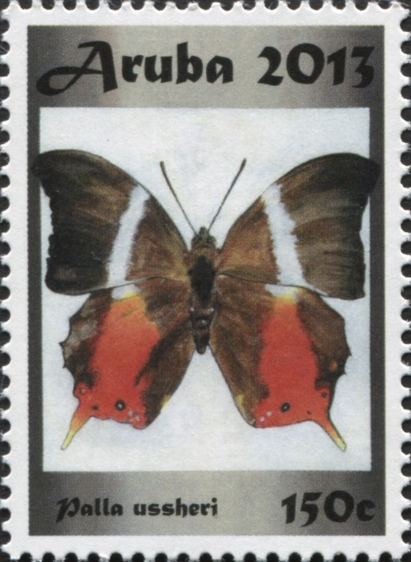 Palla ussheri