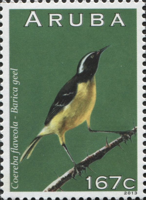 Bananaquit (Coereba flaveola)