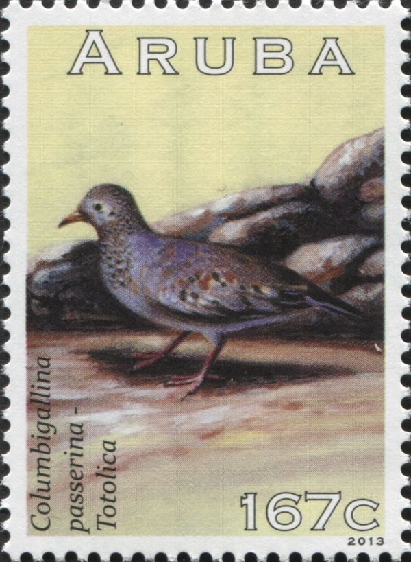 Common Ground-dove (Columbigallina passerina)