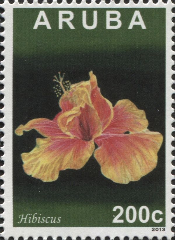 Hibiscus