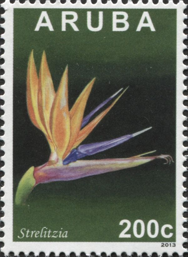 Strelitzia