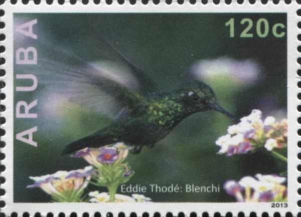 Eddie Thodé: Blenchi