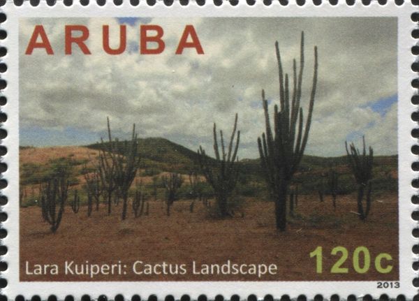 Lara Kuiperi: Cactus Landscape