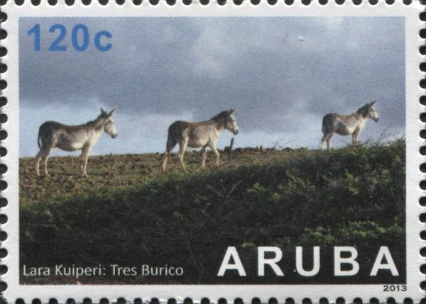 Lara Kuiperi: Three Asses