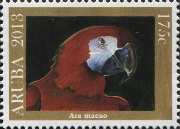 Scarlet Macaw (Ara macao)