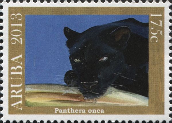 Black Jaguar (Panthera onca)