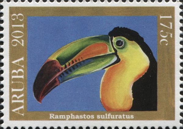 Keel-billed Toucan (Ramphastos sulfuratus)