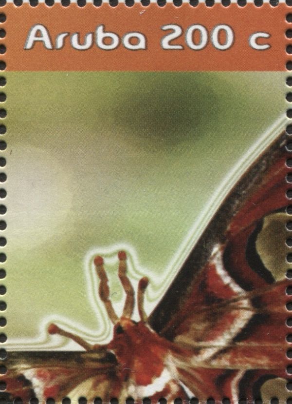 Atlas Moth (Attacus atlas) - Part
