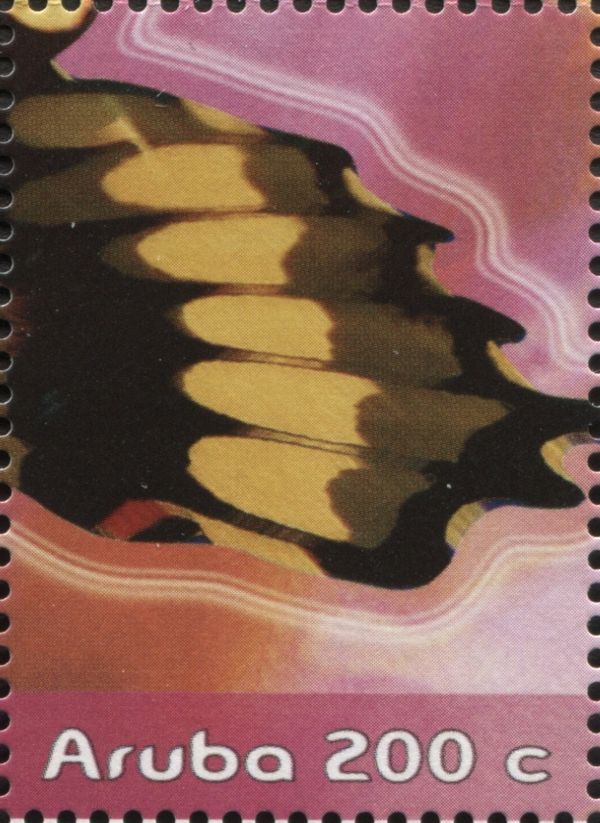 Giant Swallowtail (Papilio cresphontes) - Part