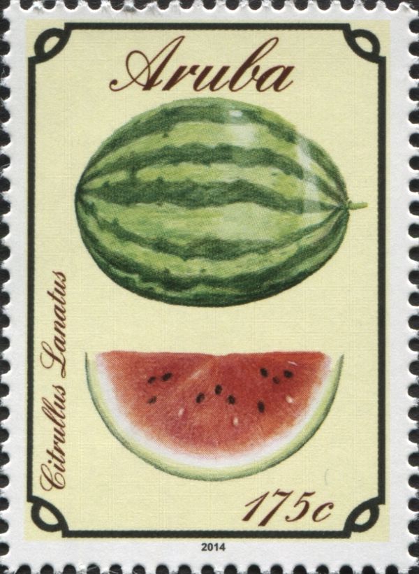 Watermelon (Citrulus lanatus)