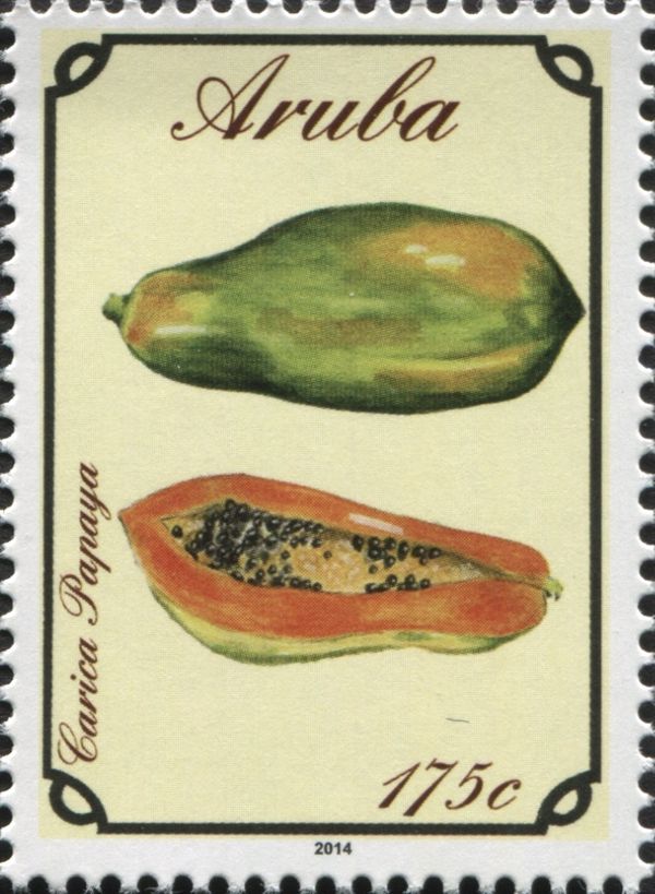 Papaya (Carica papaya)