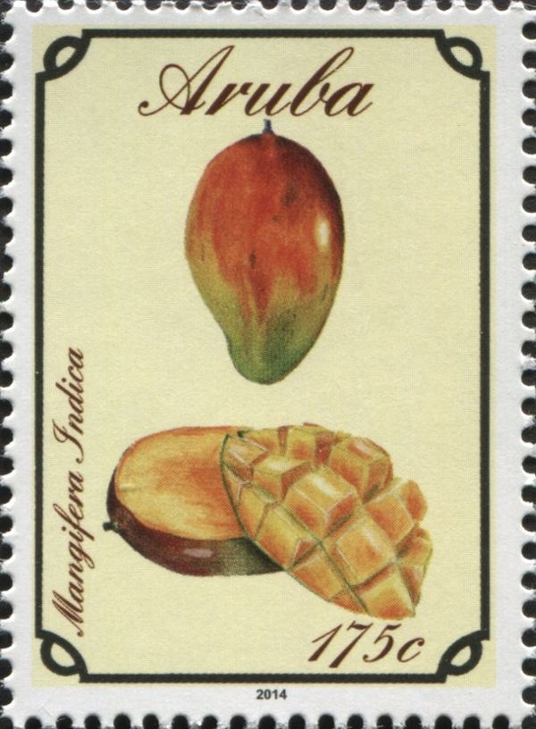 Mango (Mangifera indica)