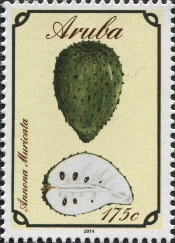Soursop (Annona muricata)