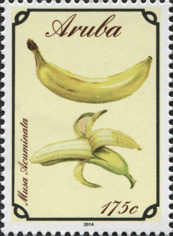 Banana (Musa acuminata)