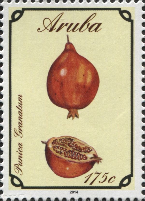 Grenadine (Punica granatum)