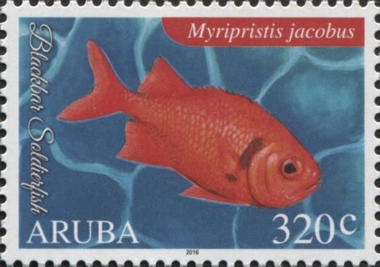 Blackbar Soldierfish (Myripristis jacobus)