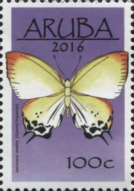 Grand Imperial (Jacoona amrita)
