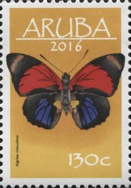 Claudina Agrias (Agrias claudina)