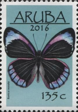 Eurota Purplewing (Eunica aurota)
