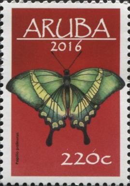 Emerald Swallowtail (Papilio palinurus)