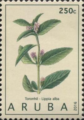 Toronhil (Lippia alba)