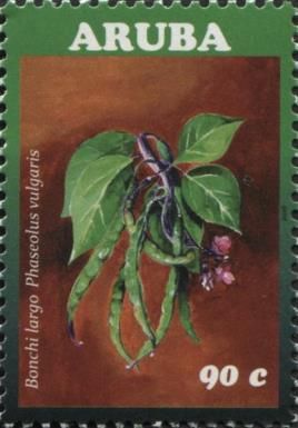 Bonchi Largo (Phaseolus vulgaris)