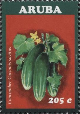 Concomber (Cucumis sativus)