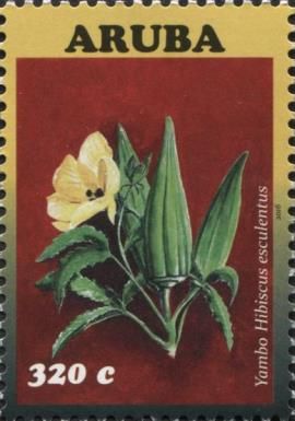 Yambo (Hibiscus esculentus)