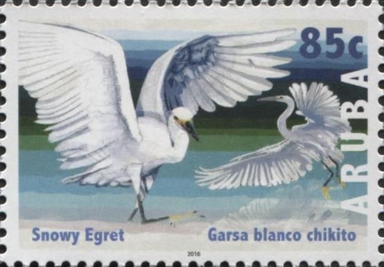 Snowy Egret (Egretta thula)