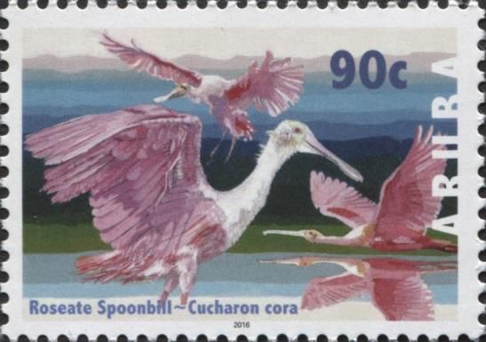 Roseate Spoonbill (Platalea ajaja)