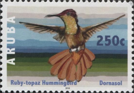 Ruby-topaz Hummingbird (Chrysolampis mosquitus)