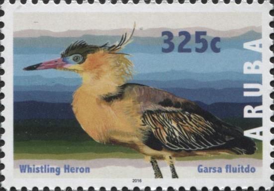 Whistling Heron (Syrigma sibilatrix)